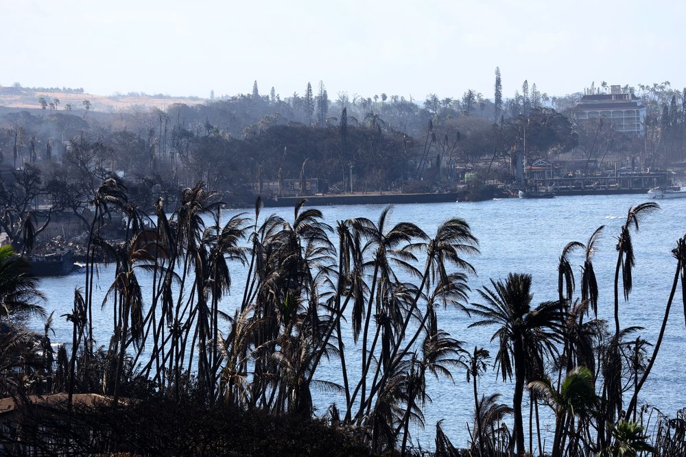 Please Don’t Consider Maui’s Wildfires a Cue to Share Hawaii Vacation Photos