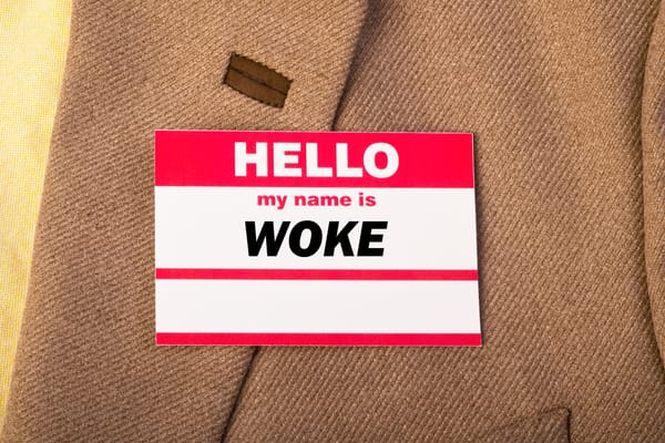 Why People Are Blaming "Woke" For the Last Election Results